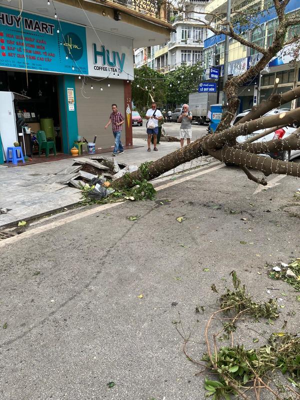 Náhled: HA-LONG: Vzdálený maraton