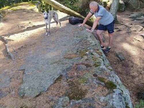 Náhled fotogalerie: LETNÍ SOUSTŘEDĚNÍ - 2022