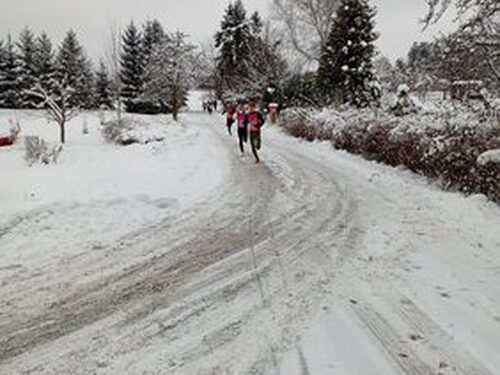 Náhled fotogalerie: ZBL MIKULÁŠSKÝ BĚH ÚPICE - 2.12.2023